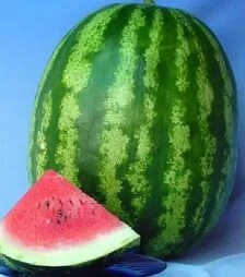 Семена арбуза Ау Продюсер, 500 г (Spark Seeds)