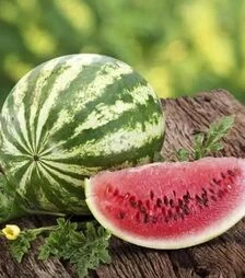 Семена арбуза Ау Продюсер, 500 г (United Genetics)