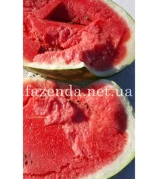 Насіння кавуна Брендон F1, п.о. 250 насінин (Libra Seeds)