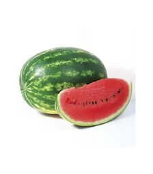 Семена арбуза КС 632 F1, п.о. 100 семян (Kitano Seeds)