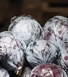 Семена красноголовой капусты капусты Рескью F1, п.е. 2,5 тыс. семян (Syngenta)