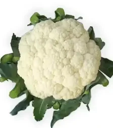 Насіння цвітної капусти Ванза F1, п.о. 2500 насінин (Kitano Seeds)