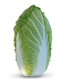 Насіння пекінської капусти КС 340 F1, п.о. 2,5 тис. насінин (Kitano Seeds)