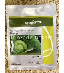 Насіння білоголової капусти Міррор F1, п.о. 100 насінин (Syngenta)