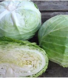 Насіння білоголової капусти Отм Кінг F1, п.о. 2,5 тис. насінин (Takii Seeds)