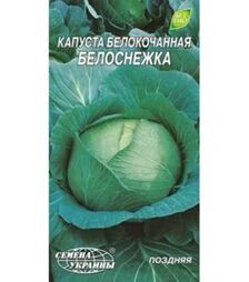 Насіння білоголової капусти Білосніжка, 1 г (Насіння України)