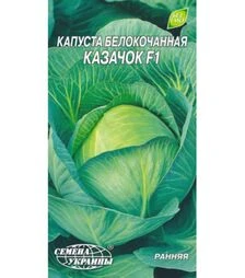 Насіння білоголової капусти Козачок, 5 г (Насіння України)