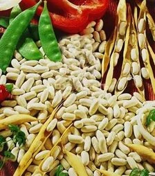 Насіння стручкової квасолі Каннеліно, 5 кг (Hortus)