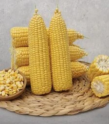 Семена кукурузы Флагман F1, п.е. 5 тыс. семян (May Seeds)