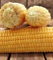 Семена кукурузы Танем F1, 500 г (May Seeds)