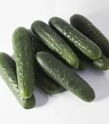 Насіння огірка КС 80 F1, п.о. 1 тис. насінин (Kitano Seeds)