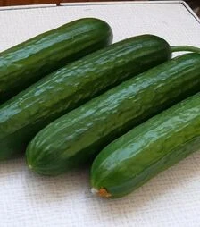 Насіння огірка Базис F1, п.о. 1 тис. насінин (Spark Seeds)