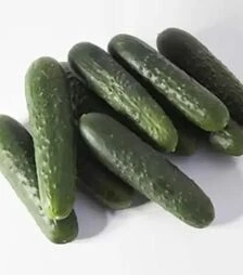 Насіння огірка КС 80 F1, п.о. 500 насінин (Kitano Seeds)