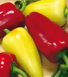 Семена перца Айвенго, 500 г (Nasko)