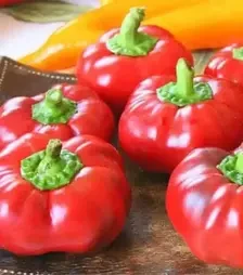 Насіння перцю Топепо Россо, 500 г (Коуел)