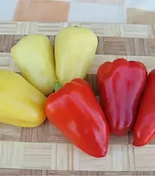 Семена перца Злата, 1 кг (Moravoseed)
