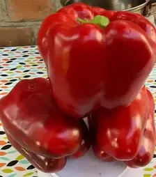 Семена перца 1601 F1, п.е. 500 семян (Spark Seeds)