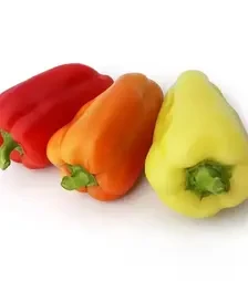 Семена перца Яника F1, п.е. 1 тыс. семян (Kitano Seeds)