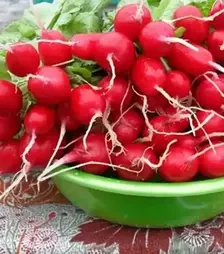 Насіння редису Марта, 500 г (Nasko)