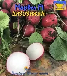 Насіння редису Марвел F1, п.о. 50 тис. насінин (Spark Seeds)
