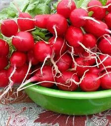Насіння редису Марта, 5 кг (Nasko)