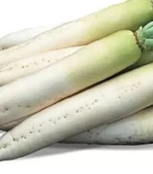 Насіння редьки Титан, 250 г (Kitano Seeds)