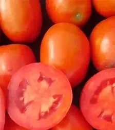 Насіння томату Салерно F1, п.о. 1 тис. насінин (Libra Seeds)