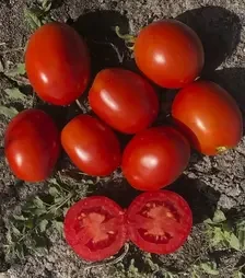 Семена томата 5108 F1, п.е. 100 тыс. семян (Heinz)