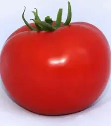Насіння томату Хітомакс F1, п.о. 500 насінин (Kitano Seeds)