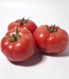 Насіння томату КС 1157 F1, п.о. 500 насінин (Kitano Seeds)