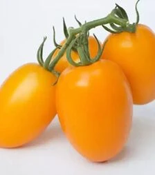 Насіння томату КС 1430 F1, п.о. 250 насінин (Kitano Seeds)