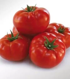 Насіння томату КС 206 F1, п.о. 500 насінин (Kitano Seeds)