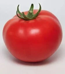 Насіння томату КС 21 F1, п.о. 500 насінин (Kitano Seeds)