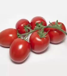 Насіння томату КС 3819 F1, п.о. 500 насінин (Kitano Seeds)