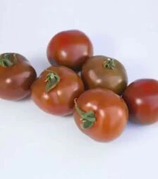 Насіння томату КС 3900 F1, п.о. 500 насінин (Kitano Seeds)