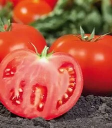 Насіння томату КС 898 F1, п.о. 1 тис. насінин (Kitano Seeds)