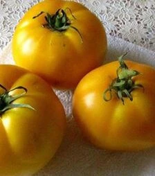 Насіння томату TС 03-0715 F1, п.о. 250 насінин (Solare Sementi)
