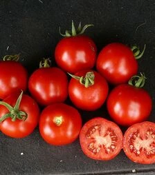 Насіння томату Шаста F1, п.о. 10 тис. насінин (Lark Seeds)