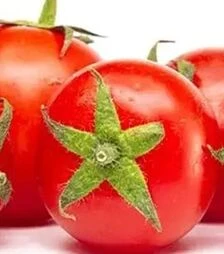 Насіння томату Прегіато F1, п.о. 1 тис. насінин (Cora Seeds)