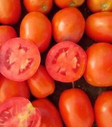 Насіння томату Салерно F1, п.о. 5 тис. насінин (Libra Seeds)