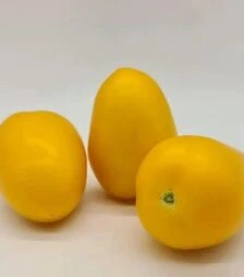 Насіння томату КС 221 F1, п.о. 500 насінин (Kitano Seeds)