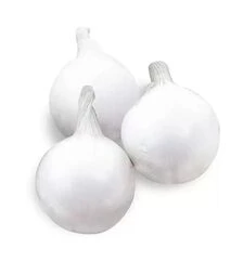 Насіння ріпчастої цибулі Гідрас F1, п.о. 250 тис. насінин (Cora Seeds)