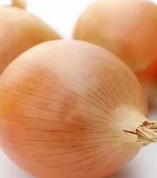 Насіння ріпчастої цибулі Екстра Ерлі Голд F1, п.о. 10 тис. насінин (United Genetics)