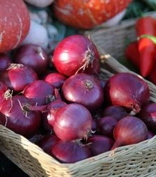 Насіння цибулі сіянки Ред Барон, 10 кг (Triumfus Onion Products)