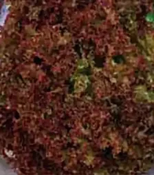 Насіння салату Лолло Росса, 500 г (Коуел)