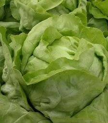 Насіння салату Меркурион, 5 г (Semo)