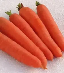 Насіння моркви Цідера, 1 кг (Moravoseed)