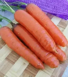 Семена моркови Кортина F1, п.е. 100 тыс. семян (Moravoseed)