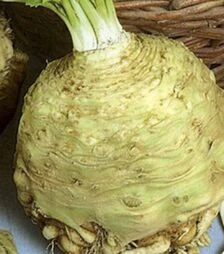 Насіння селери Максим, п.о. 1 тис. насінин (Semo)