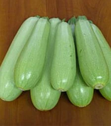 Насіння кабачка Немо F1, п.о. 2,5 тис. насінин (Spark Seeds)